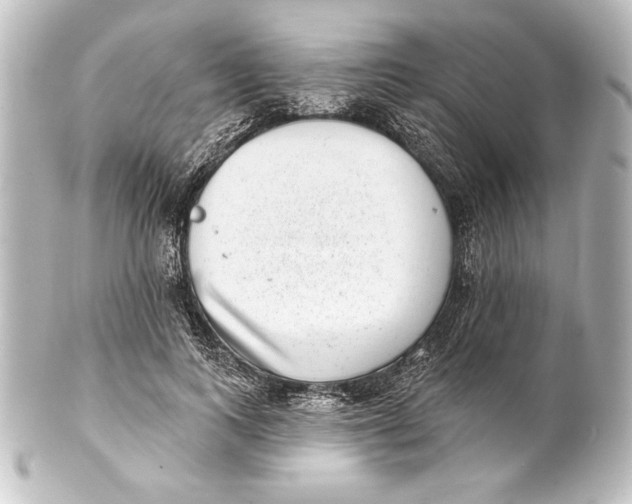 X0000101420743200807280937