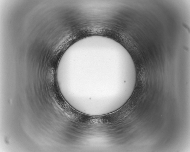 X0000101420744200807280937