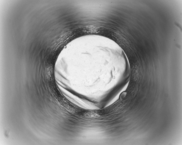 X0000101420747200807280937