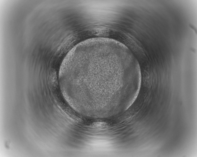 X0000101420748200807280937