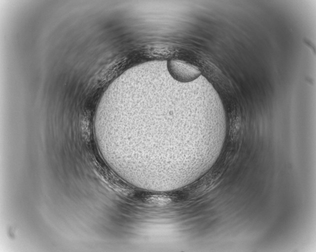 X0000101420749200807280937