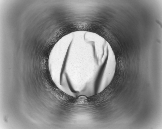 X0000101420750200807280937