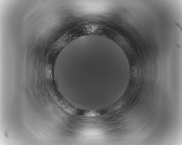 X0000101420754200807280937