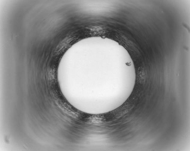 X0000101420756200807280937