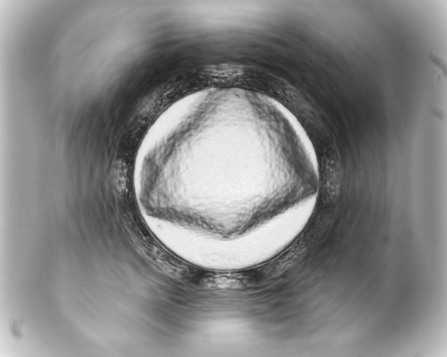 X0000101420758200807280937