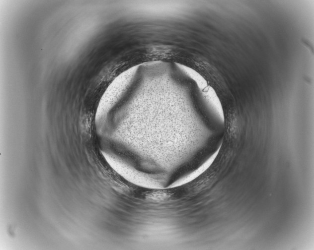 X0000101420759200807280938