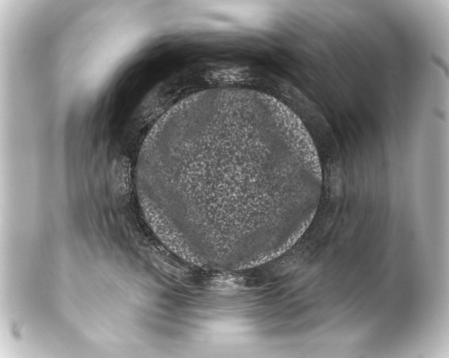 X0000101420760200807280938