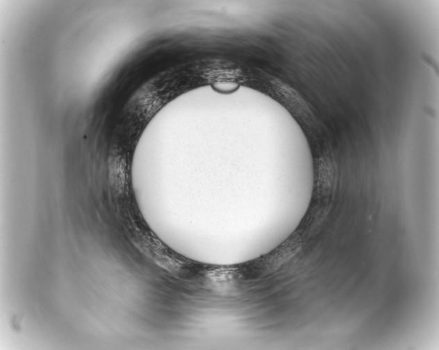 X0000101420761200807280938