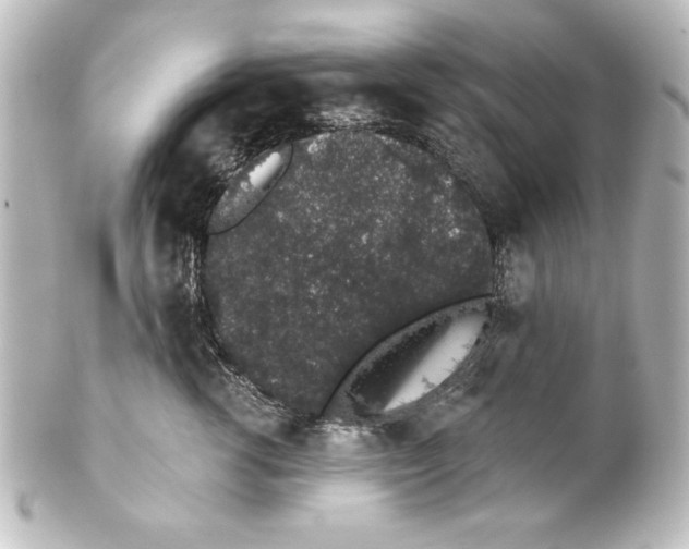 X0000101420762200807280938