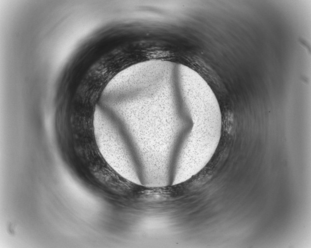 X0000101420763200807280938