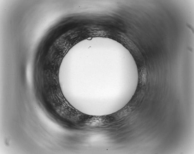 X0000101420764200807280938