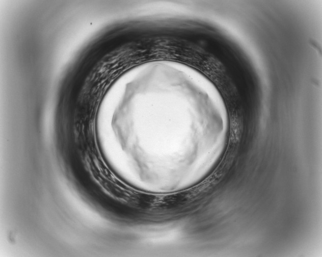 X0000101420765200807280938