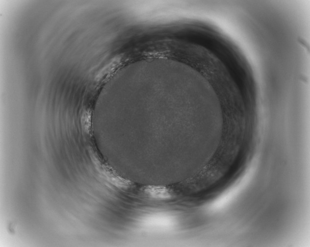 X0000101420767200807280938