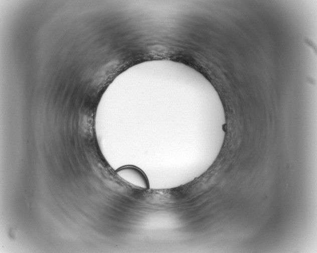 X0000101420768200807280938