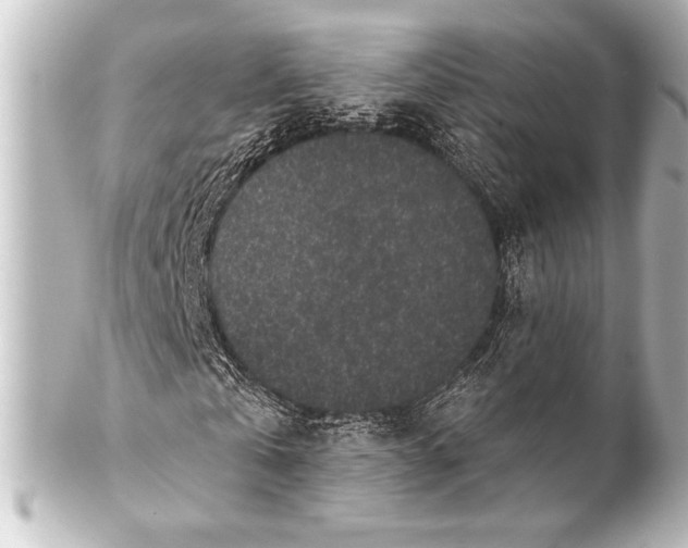 X0000101420769200807280937