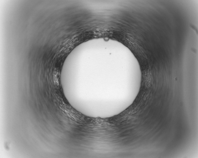 X0000101420770200807280937