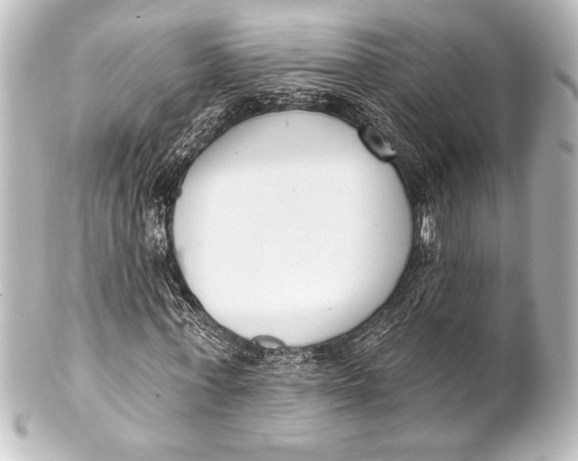 X0000101420771200807280937