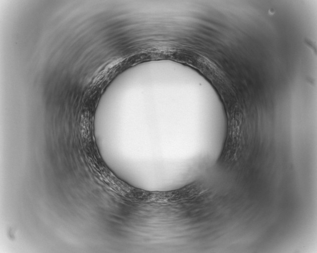 X0000101420773200807280937