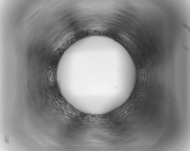 X0000101420774200807280937