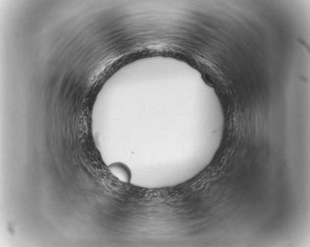 X0000101420776200807280937