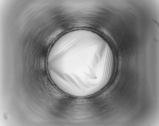 X0000101420777200807280937