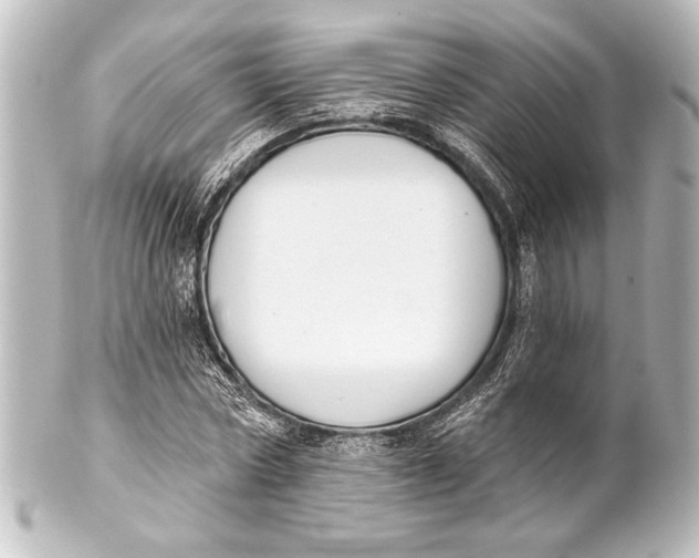 X0000101420778200807280937