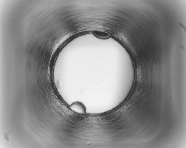 X0000101420780200807280937