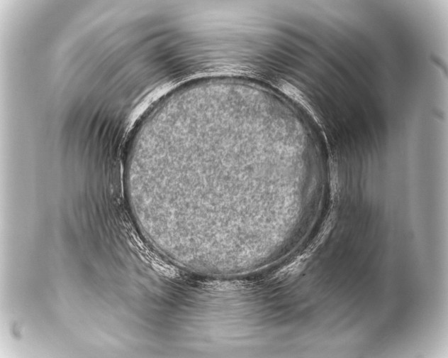 X0000101420781200807280937