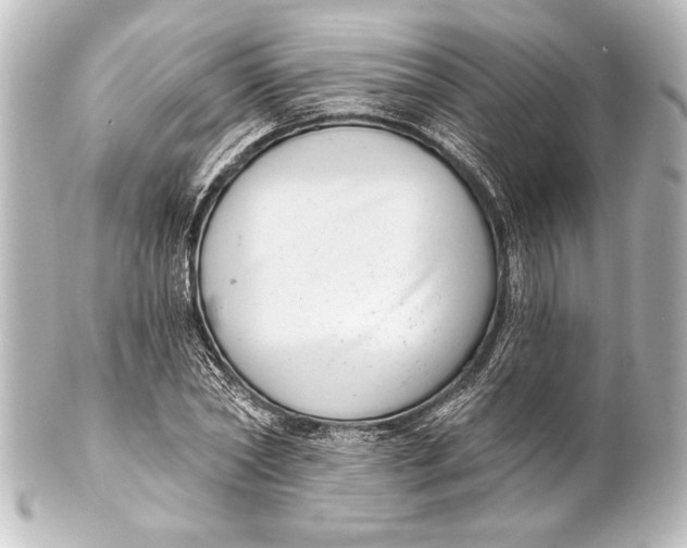 X0000101420782200807280937