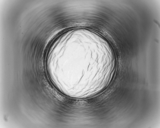 X0000101420784200807280937