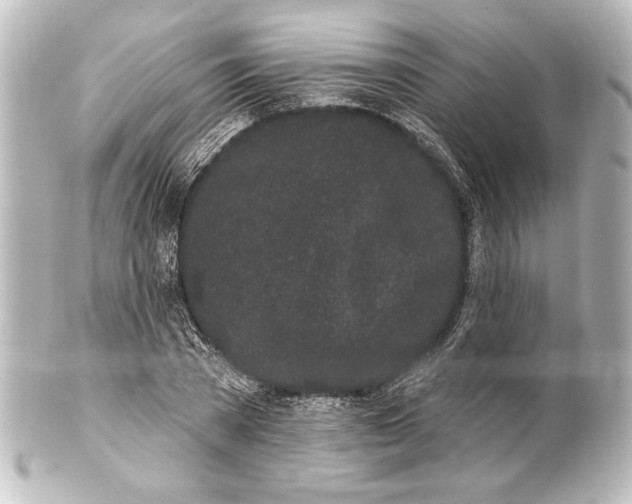 X0000101420785200807280937