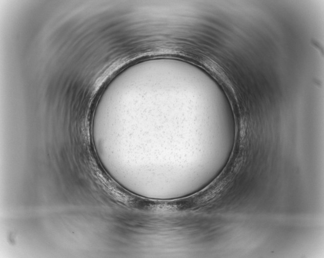 X0000101420789200807280937