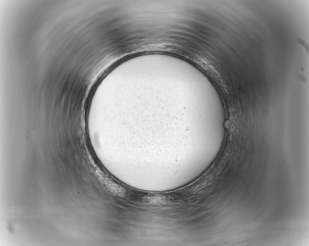 X0000101420792200807280937