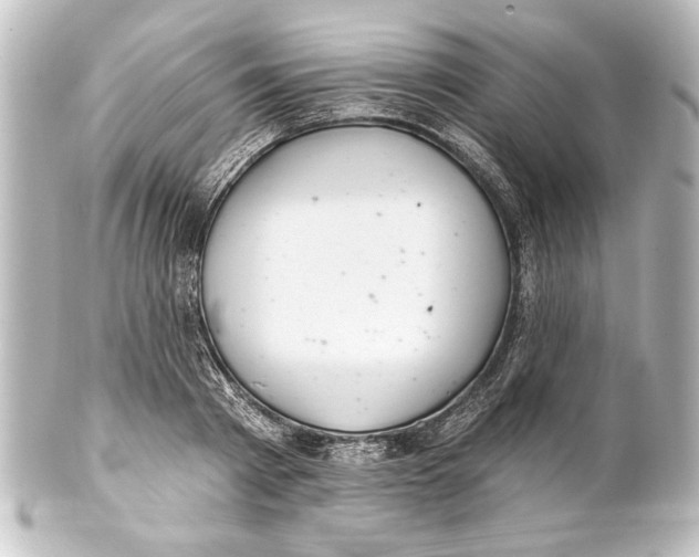 X0000101420793200807280936