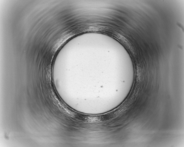 X0000101420794200807280936