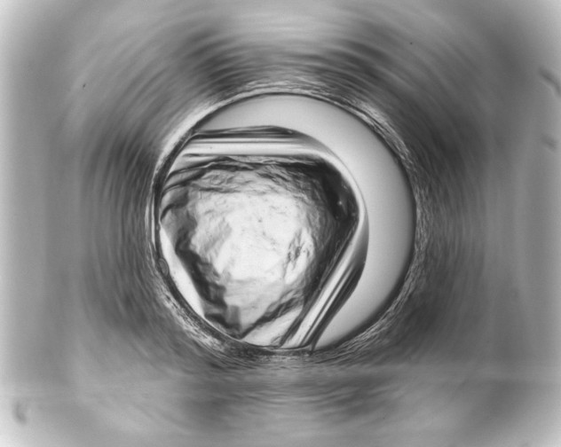 X0000101420796200807280936