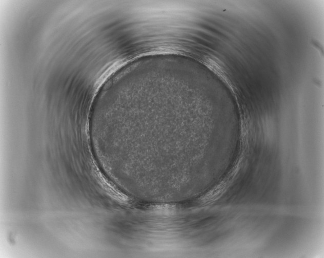 X0000101420797200807280936