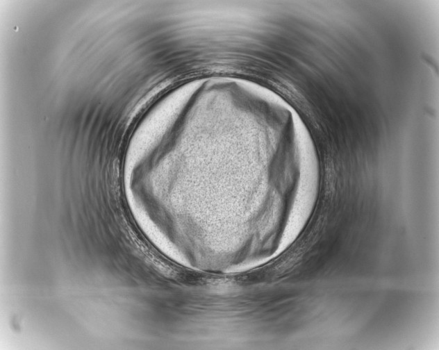 X0000101420798200807280936