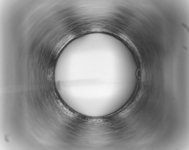 X0000101420801200807280936