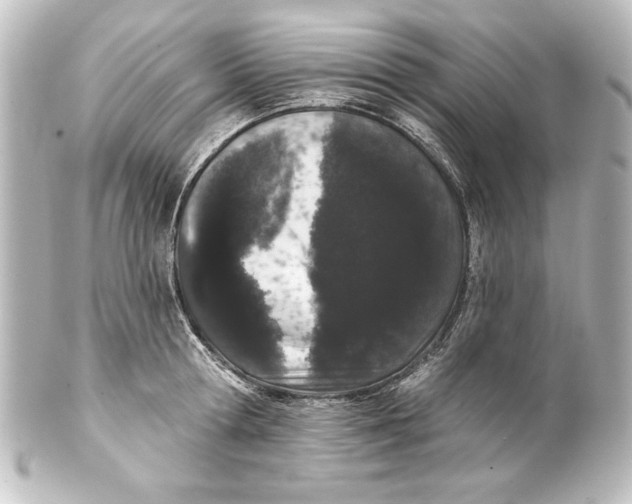 X0000101420802200807280936