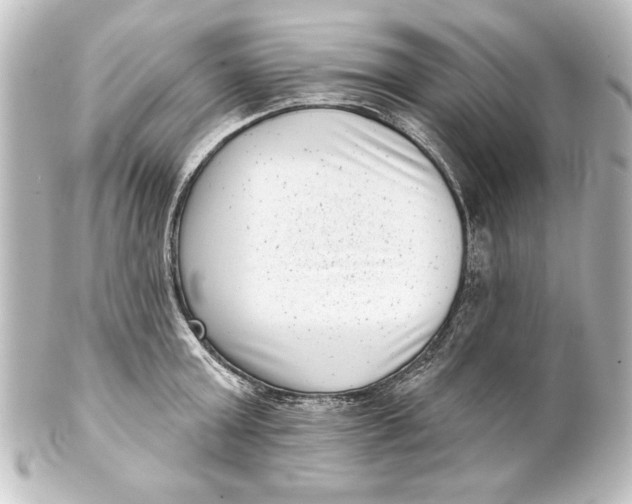 X0000101420803200807280936