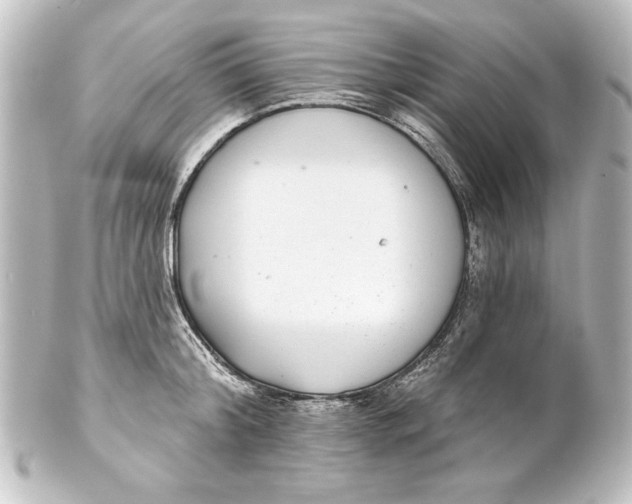 X0000101420804200807280936