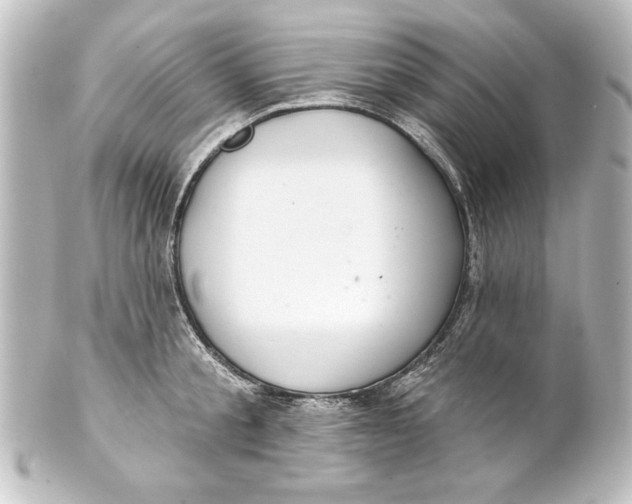 X0000101420805200807280936