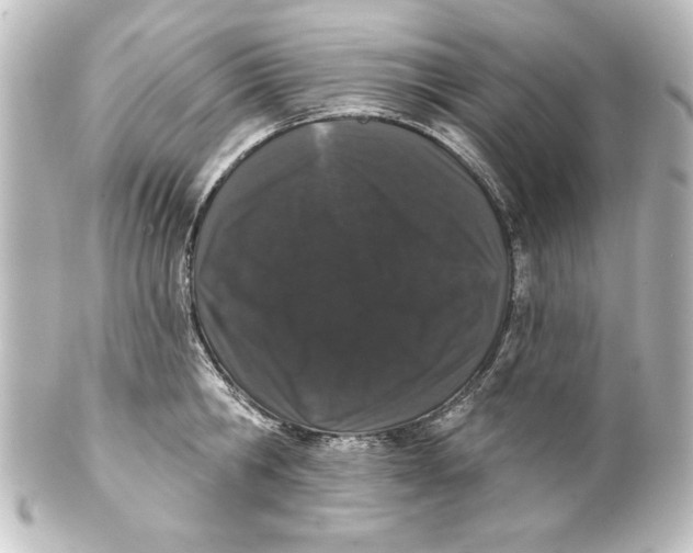 X0000101420806200807280936