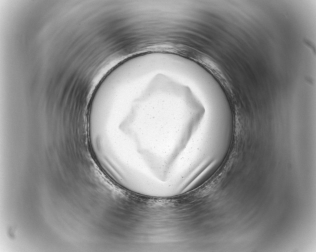 X0000101420808200807280936