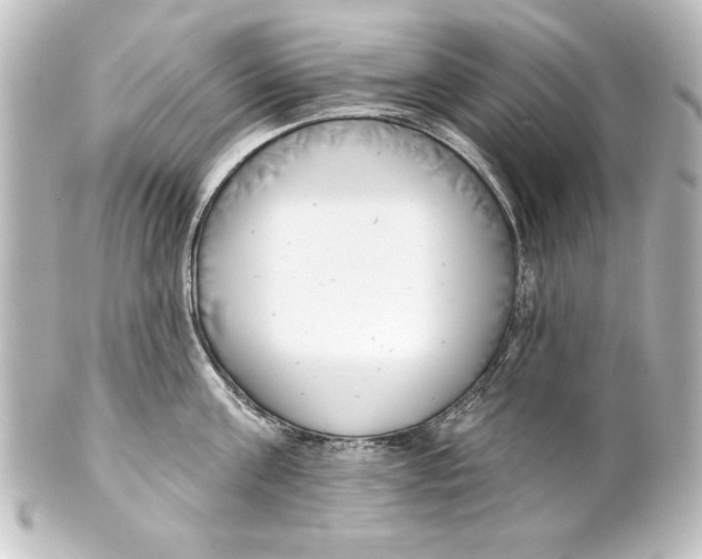 X0000101420811200807280936