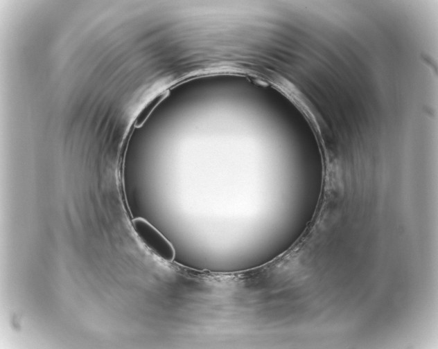 X0000101420813200807280936