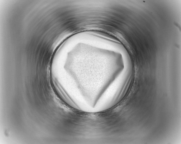 X0000101420814200807280936