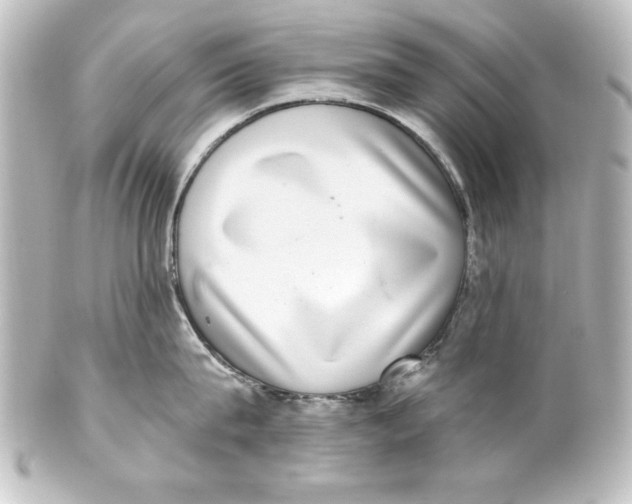 X0000101420815200807280936