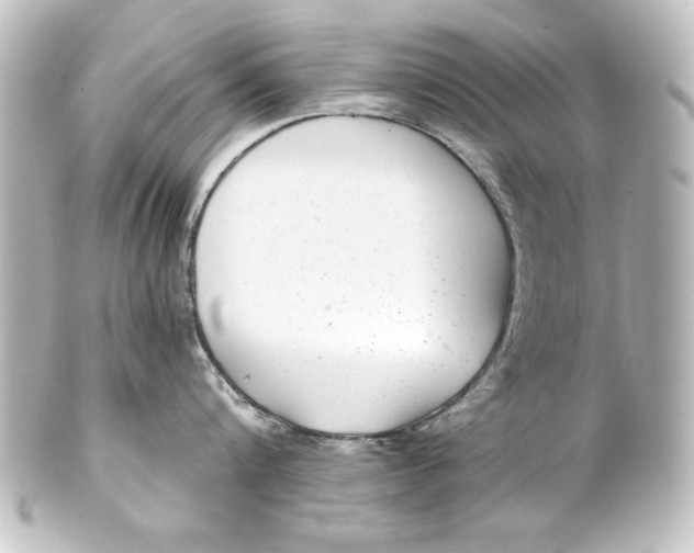 X0000101420816200807280936